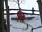 ��d� Ski Team